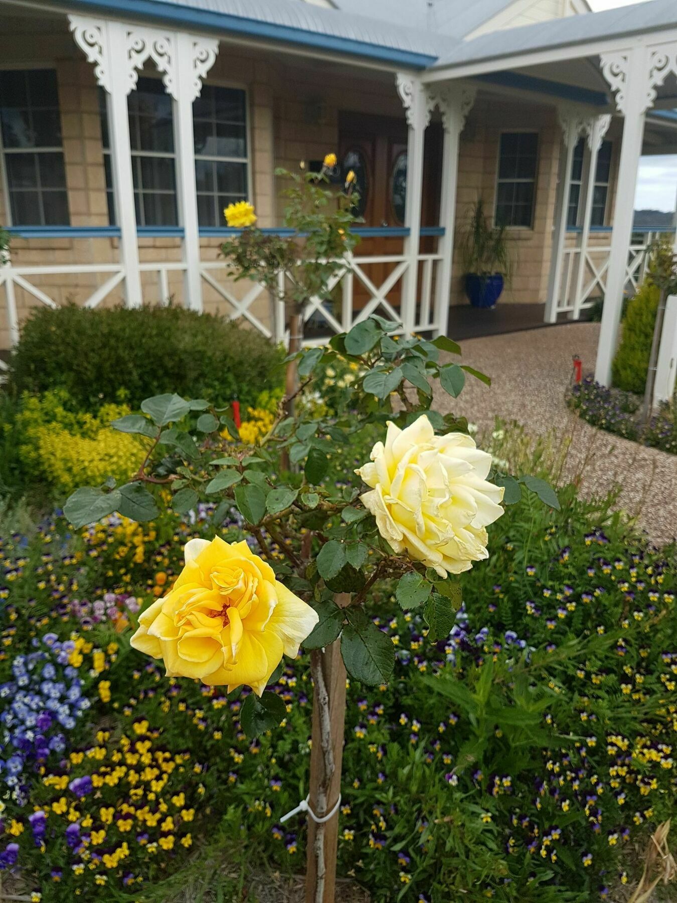 Grovely House Stanthorpe Exterior foto